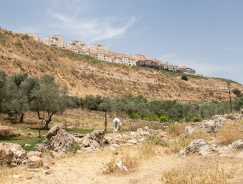 Raw Sewage from Settlements into Wadi Fukin – Nahalin
