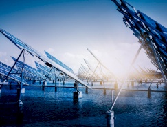Good Water Neighbors/Investment Track