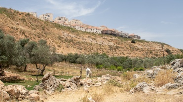 Beitar Illit Sewage affects Wadi Fukin and Nahalin Villages