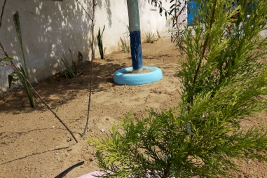 Our Project at Al-Fukhari School in Gaza