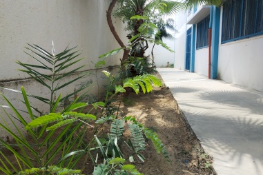 Water, Sewage and Power Supply Improvement Project at Al-Fukhari UNRWA Girls School in Gaza