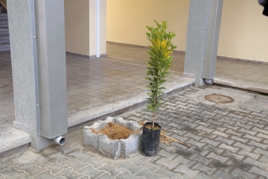 Our Project at Al-Fukhari School in Gaza