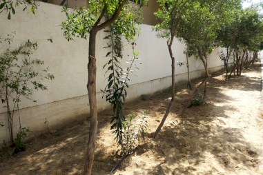 Our Project at Al-Fukhari School in Gaza