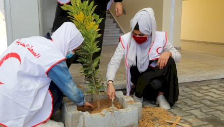 Good Water Neighbors Project, The Sun Light to Gaza School Children!