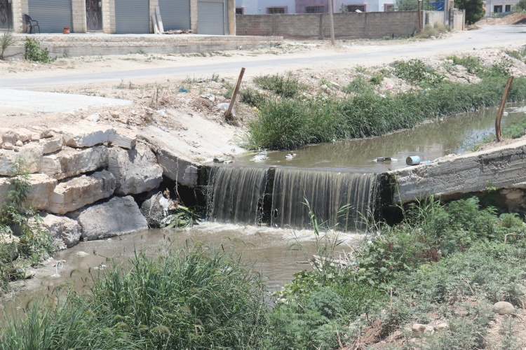 Tomorrow&#039;s Leaders - Tulkarem Visit 