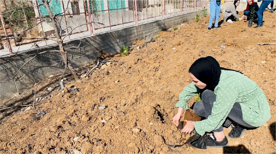 “Plant Palestine Day”  Youth Climate Action Day Activities in Palestine!
